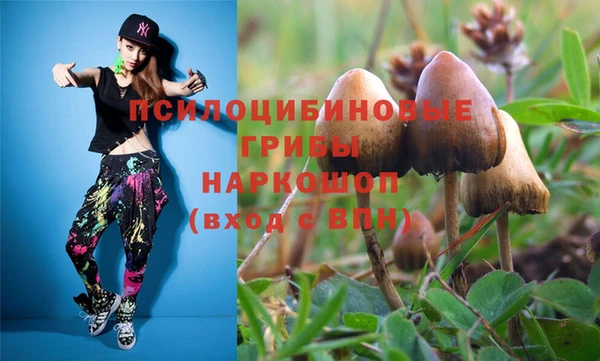 марки lsd Инсар