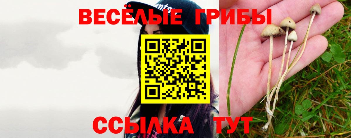 Галлюциногенные грибы Psilocybine cubensis  Вход с VPN  Галлюциногенные грибы Psilocybe  Бутурлиновка 